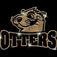 GLT32 GOLD GLITTER Thumbnail